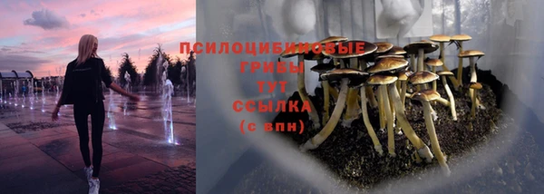 трава Армянск