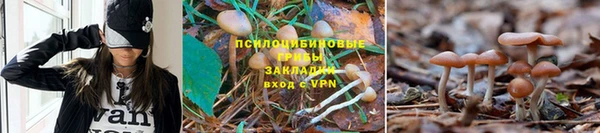 трава Армянск