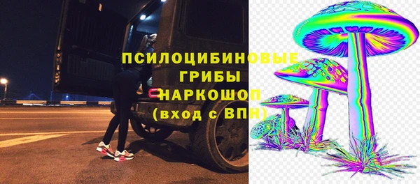 трава Армянск