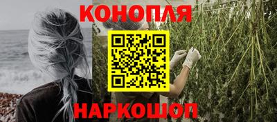 прущие грибы Малгобек