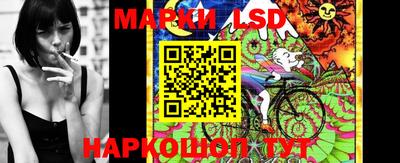 прущие грибы Малгобек