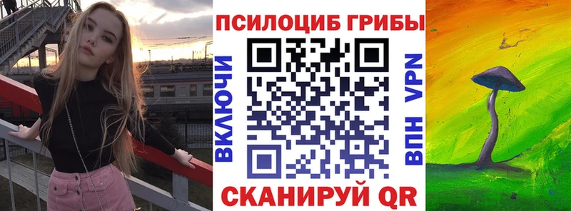 наркошоп  Петропавловск-Камчатский  Псилоцибиновые грибы мицелий 