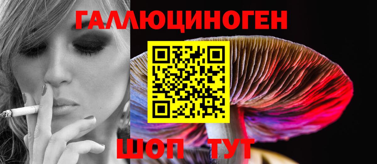 Петропавловск-Камчатский  Галлюциногенные грибы прущие грибы  купить наркотик  Вход с VPN 
